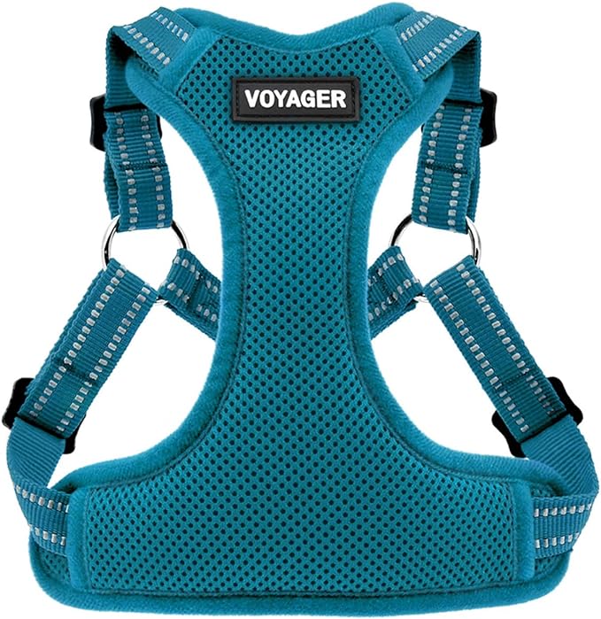 Best Pet Supplies Voyager Mesh Dog Breathable Harness Reflective Stitching, All Weather Adjustable for Walking Training, or Running - Heavy Duty & Durable, Harness (Turquoise), XL