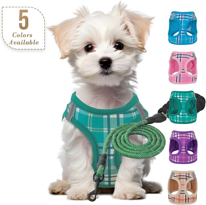 Athena Collection Small Dog Harness with 5 ft Leash, Step-in Dog Harness Leash Set Extra Small No Pull Dog Vest Harness with Reflective Strips Adjustable Velcro, Easy Walk Puppy Harness, Green