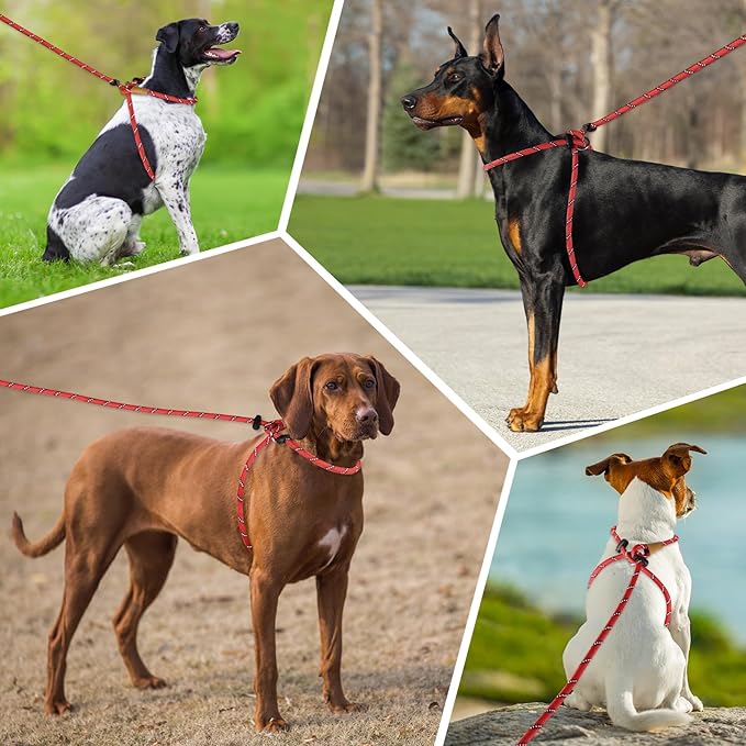 Lynxking No Pull Rope Dog Harness No Pull Reflective Leash Harness Collar 3 in 1 Dog Halter Harnesses Adjustable for Large Giant Dog (Red, Extra Large(up to 80Ibs) 10ft*1/2")