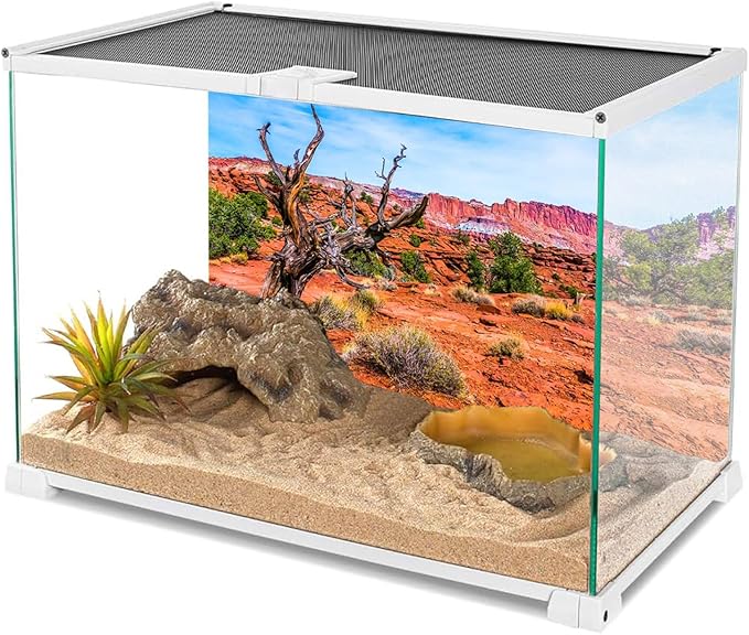 AWERT 36x18 inches Reptile Habitat Background Blue Sky Oasis Orange Desert Terrarium Background Durable Polyester Background