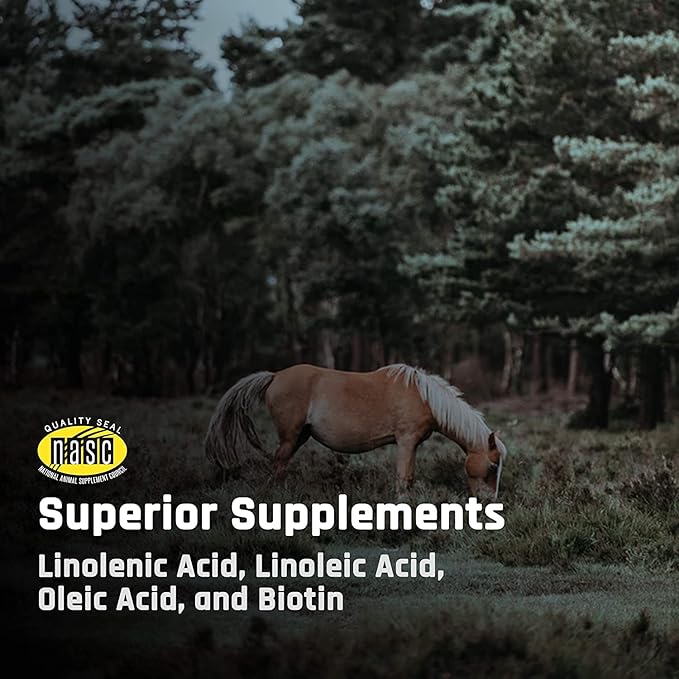 Majesty's BIO+ Biotin Wafers - Superior Horse/Equine Hoof and Coat Support Supplement - Copper, Zinc, Lysine, Methionine (2 Pack(120 Count Total))