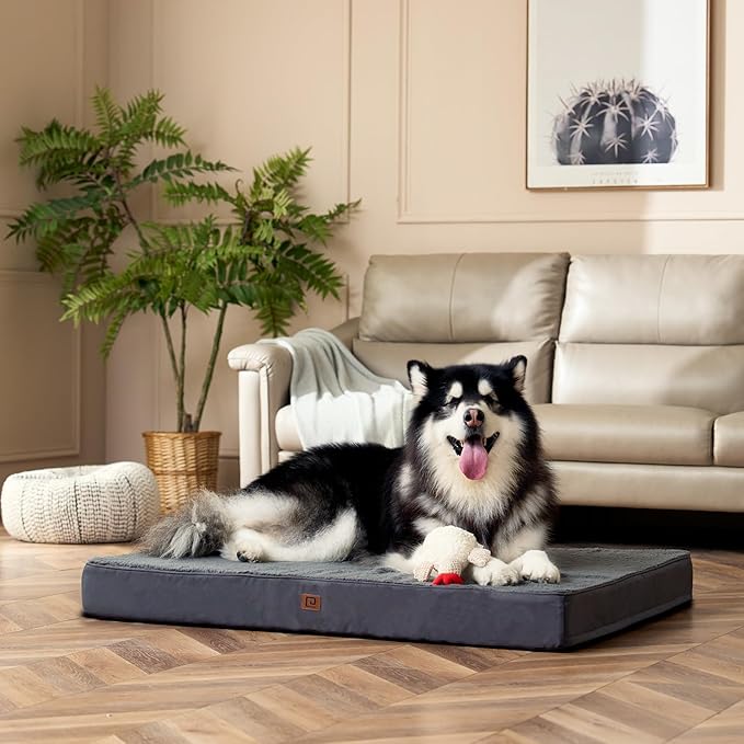 EHEYCIGA Orthopedic XL Dog Beds for Extra Large Dogs with Removable Washable Cover for Crate, Grey, 41x27