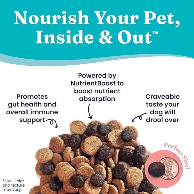 Solid Gold Dry Dog Food for Adult & Senior Dogs - Made with Real Lamb & Brown Rice - NutrientBoost Hund-N-Flocken Healthy Dog Food for Weight Management & Digestive Support - 4 LB Bag