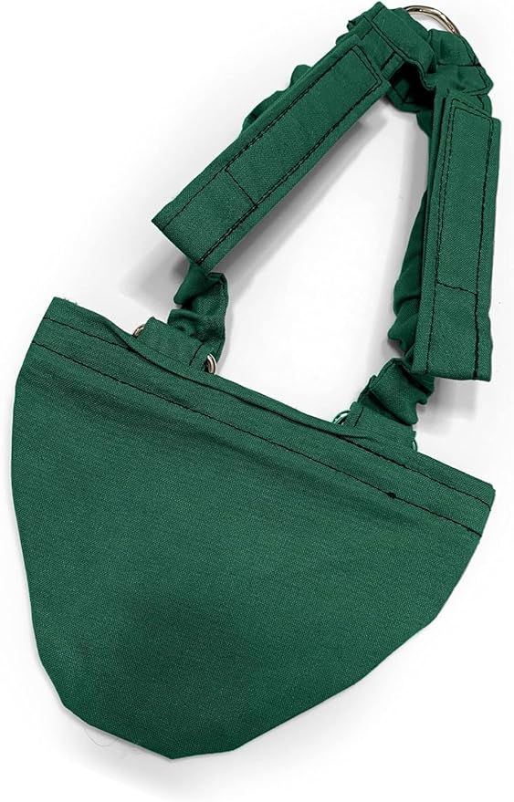 Hen Holster Bikini Diaper, Bird Diaper & Harness for Hens, Roosters, Ducks, Geese - with Removable Vinyl Liner, Adjustable Fit for Outdoor Adventures & Indoor Use - Easy to wear - S/M, Green