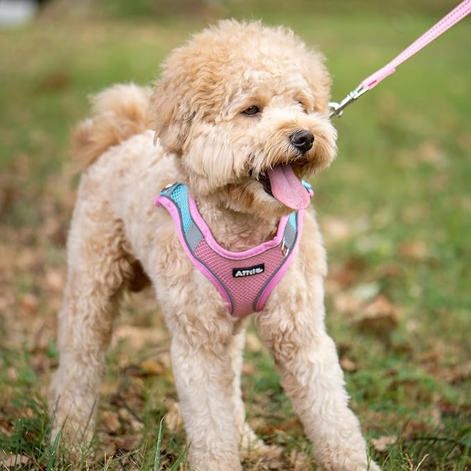 AIITLE Comfortable Dog Harness and Leash Set for Walking - Summer Step in Vest Harness,Reflective Bands, Adjustable No Pull Puppy Essentials, for Small Dogs and House Cats Pink XS