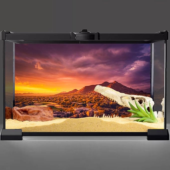 AWERT 36x18 inches Sun and Desert Terrarium Background Mountain Oasis Gobi Reptile Habitat Background Polyester Fish Tank Background