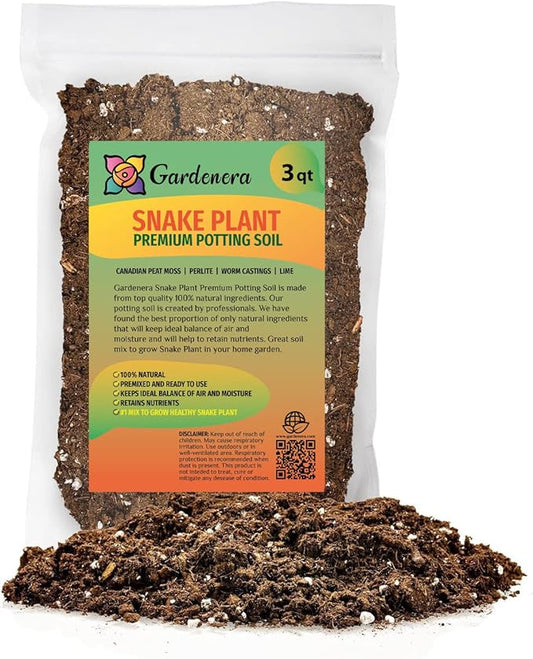 GARDENERA Premium Snake Plant Potting Soil Mix, Green Sansevieria Trifascatia Zeylanica Plants, Plant or Re-Pot Your Snake Plant - (3 Quart Bag)