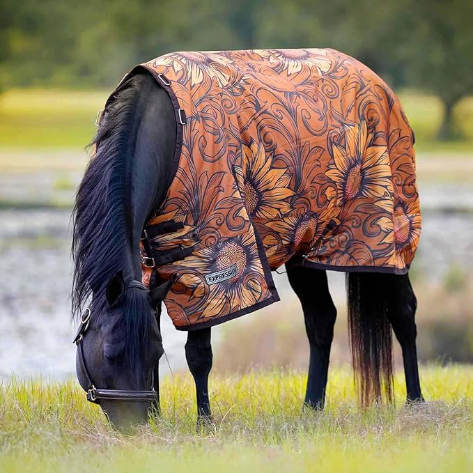 Jeffers Expression 1200 Denier Standard Neck Turnout Blanket for Horses, 66"- Water Proof, Breathable, 240 gram Polyfill for Medium Weight Warmth, Winter Protection for Stall, Barn – Bloomin' Toolin