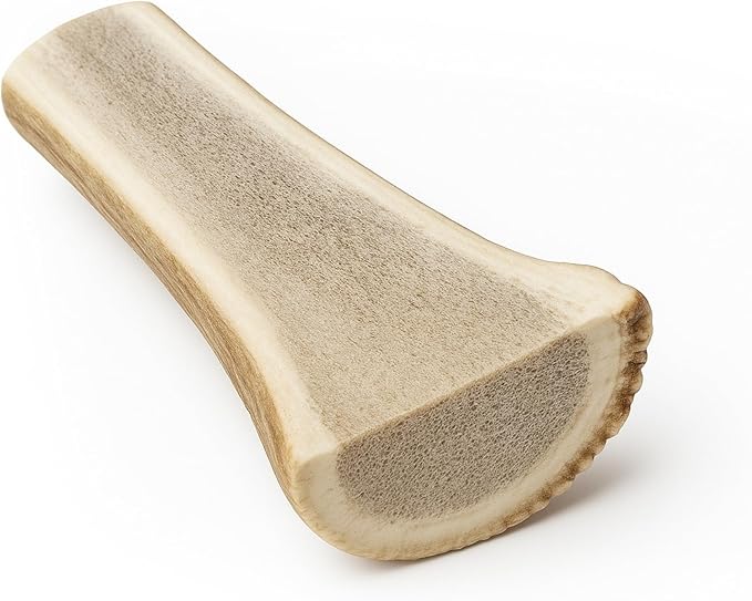WhiteTail Naturals - Premium Split Elk Antlers for Large Dogs - (Extra Large-1Pack) - Elk Horn Dog Chews - Naturally Shed, Antler Chew Bone - Long Lasting, Crafted in USA