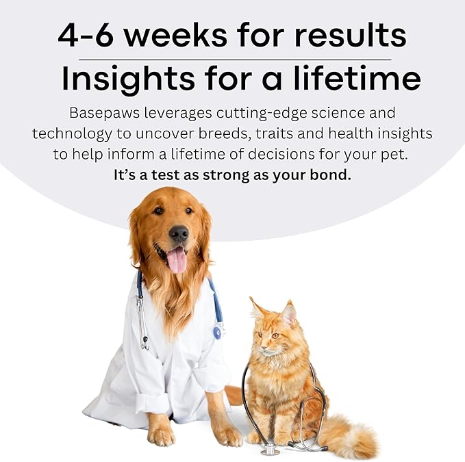 Basepaws Cat DNA Test Kit 2 Pack - 21+ Breeds, 114+ Health and Dental Traits for Comprehensive Accurate and Easy-to-Use Genetic Insights