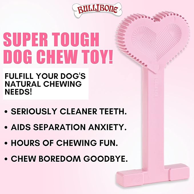 Bullibone Nylon Dog Chew Toy Nylon Bone - Improves Dental Hygiene, Easy to Grip Bottom, and Permeated with Flavor (Peppermint, Small - Single)