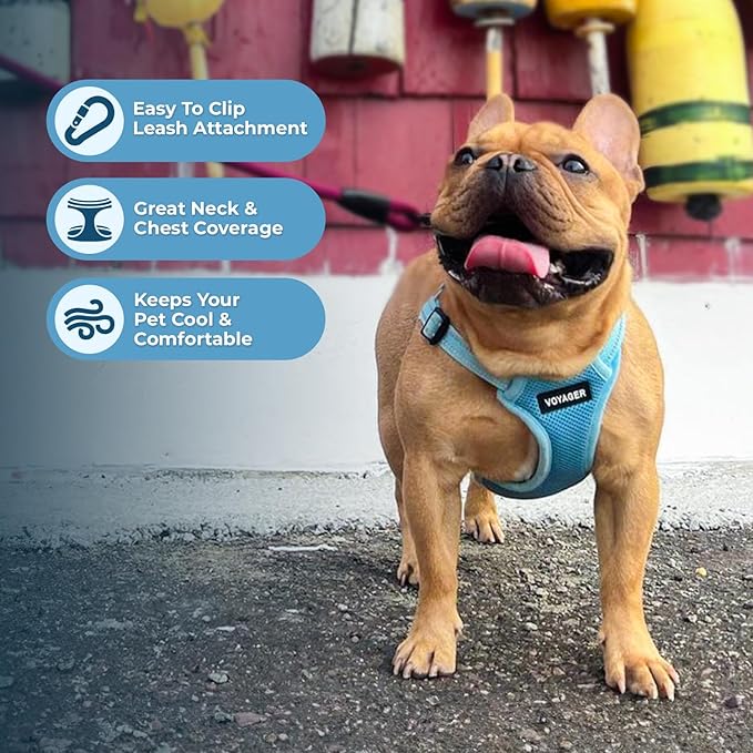 Best Pet Supplies Voyager Mesh Dog Breathable Harness Reflective Stitching, All Weather Adjustable for Walking Training, or Running - Heavy Duty & Durable, Harness Leash Set (Baby Blue), M