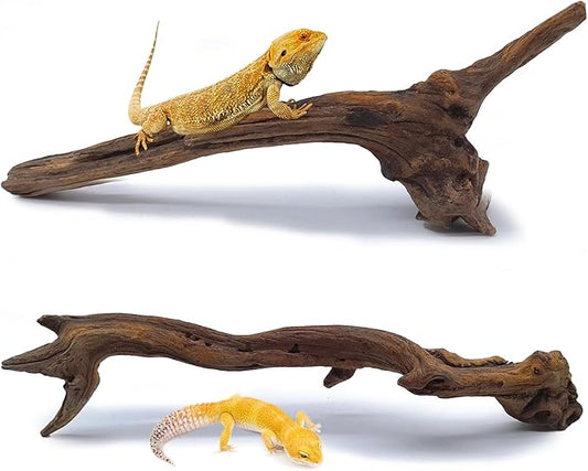 BNOSDM 2PCS Snake Climbing Branches,Reptile Natural Coral Driftwood Branches Decor,Lizard Habitat Decoration Accessories, Terrarium Tree Trunk Ornament for Bearded Dragon Gecko Frog Chameleon Spider