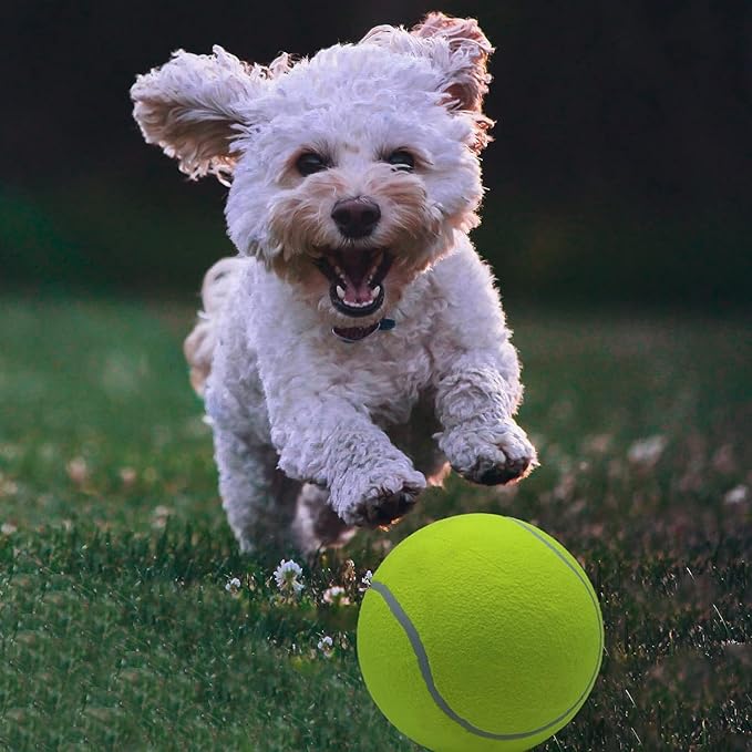 Magicorange 4 Pack 9.5 inch Giant Tennis Ball Large Dog Tennis Ball Pet Balls for Dogs for Outdoor/Indoor Sports Dog Gift with Needle (Multicolor, 9.5 inch)