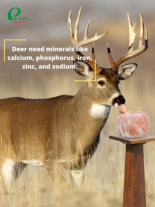 New 8 lbs Animal Himalayan Salt Lick on Rope for Horses, Deer, Rabbits, Cows and Other Livestock | Lick Salt for Deer | Digestive Aid for Animals | Horse Treats (8 lbs)