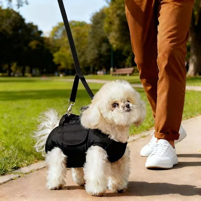 Portable Small Dog & Cat Pet Carrier Sling & Backpack for Small Dogs & Cats & Puppy, Dog & Pet Purse Bag Carrier Sling for Small Dogs with Dog Traction Leash, Crossbody Sling Carriers (Orange S)