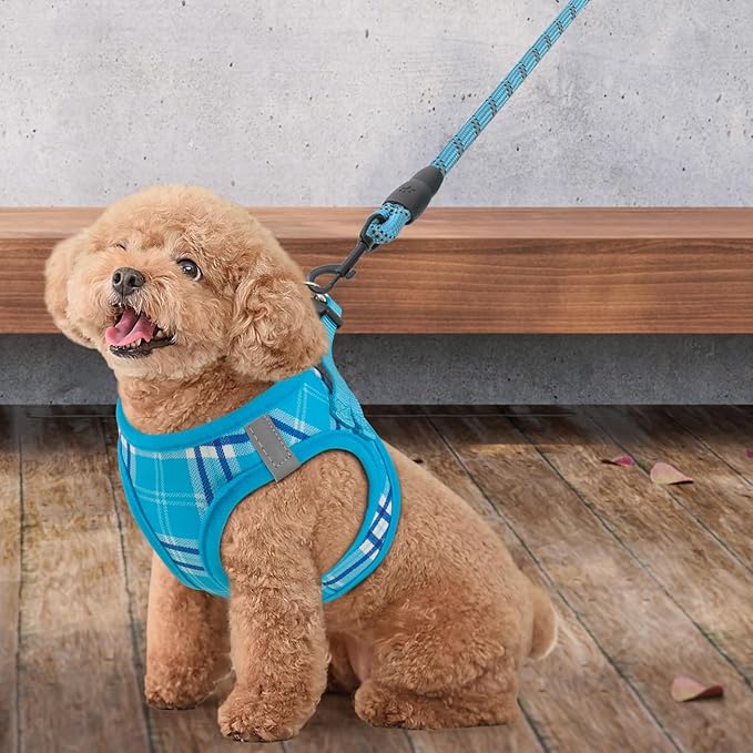 Athena Collection Small Dog Harness with 5 ft Leash, Step-in Dog Harness Leash Set Small No Pull Dog Vest Harness with Reflective Strips Adjustable Velcro, Easy Walk Puppy Harness, Blue