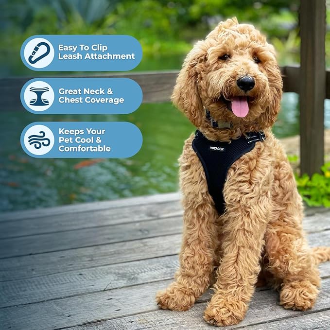 Best Pet Supplies Voyager Mesh Dog Breathable Harness Reflective Stitching, All Weather Adjustable for Walking Training, or Running - Heavy Duty & Durable, Harness Leash Set (Black), S