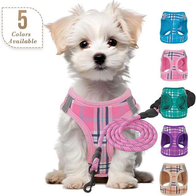 Athena Collection Small Dog Harness with 5 ft Leash, Step-in Dog Harness Leash Set Extra Small No Pull Dog Vest Harness with Reflective Strips Adjustable Velcro, Easy Walk Puppy Harness, Pink