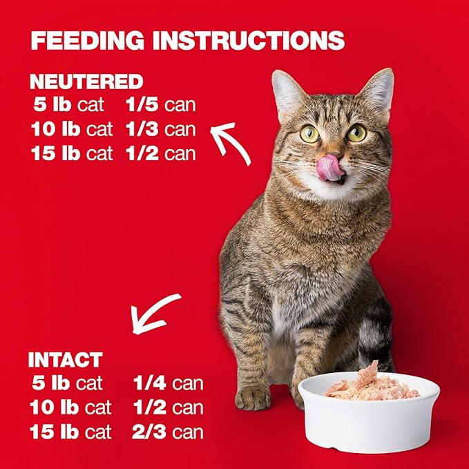 Natural Code Limited Ingredient Wet Cat Food Topper, High Protein, Low Fat, Additive-Free, Non-GMO, No Artificial Colors or Flavors, Chicken & Turkey in Aspic for Adult Cats, 24 Pack of 3oz Cans
