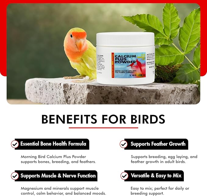 Morning Bird Calcium Plus Powder for Birds 1 oz – Calcium Supplement with Vitamin & Protein Powder – Supports Bone Health, Muscle Function & Digestive Balance – Easy-to-Mix Calcium Formula