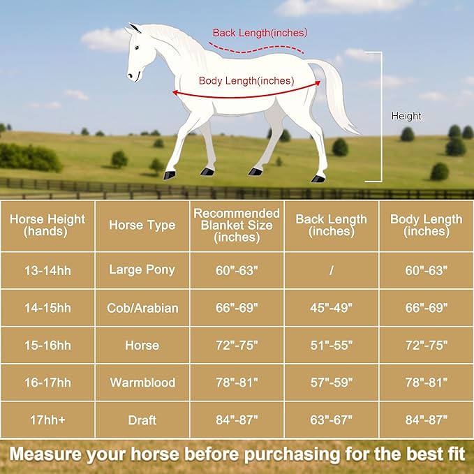 Horse Fleece Cooler, Blanket Liner - 300g Anti-Pilling Fleece, Moisture-Wicking, Cooling & Drying for Post-Workout, Bath & Travel, Prevent Overheating & Chilling Navy 72