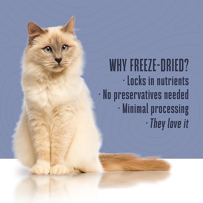 Whole Life Cat Freeze Dried Cat Food - Bland Diet with Sensitive Stomachs, Digestive Support, Anti-Diarrhea & Vomit Remedy – Human-Grade, Quick & Easy Chicken and Rice Meal, Ready in Minutes