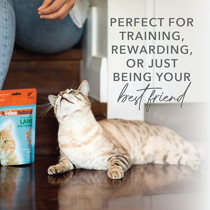 Feline Natural Freeze Dried Cat Treats – New Zealand Single-Source Protein Treats for Cats - Grain-Free Healthy Cat Snacks, Beef Bites, 1.76oz (Pack of 2)