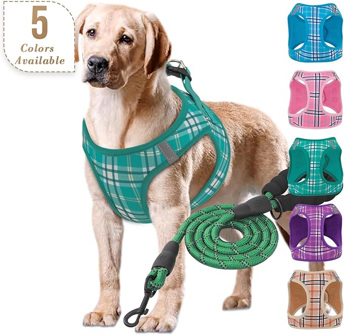 Athena Collection Step-in Dog Harness with 5 ft Leash, Large Dog Harness Leash Set Large No Pull Dog Vest Harness with Reflective Strips Adjustable Velcro, Easy Walk Dog Harness, Green