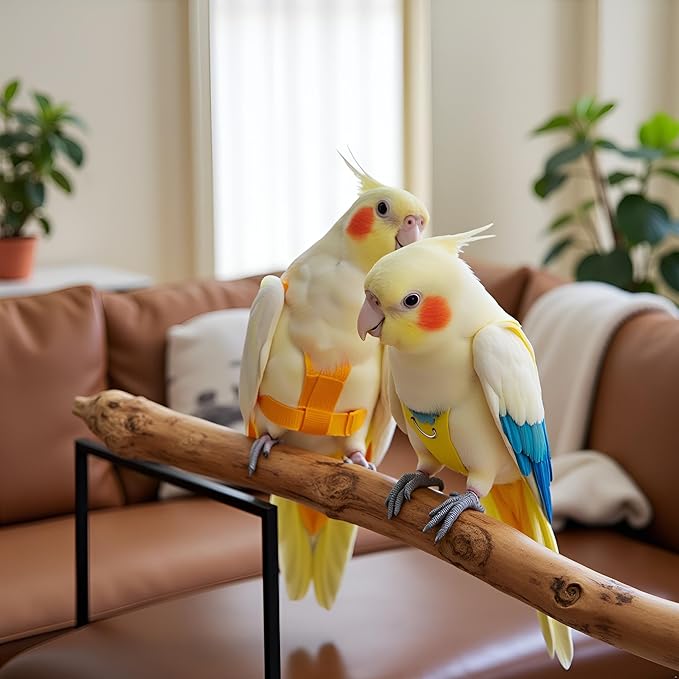 Parrot Clothes, Bird Diapers, Tiger Skin Peony, Flight Suit - Key Features for Avian Comfort and Style (Blue, XS, Count, 1)