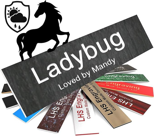 Personalized Horse Stall Name Plates, 2x10 Horse Stall Signs with Adhesive, All Weather UV Protected, Ash Plastic White Letters - Made in USA - N1