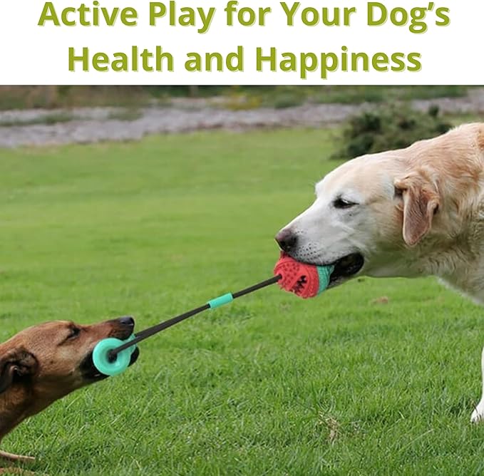 Dog Ball with Rope – Durable TPR Chew Toy for Tug, Fetch & Dental Cleaning – Treat Dispensing Interactive Toy for Small, Medium & Large Dogs – Indoor Outdoor Play Training by Tail Town