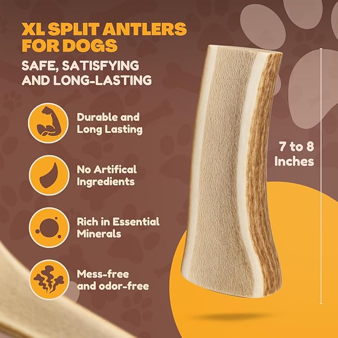 WhiteTail Naturals - (2 Pack- Extra Large - Split Elk Antlers for Large Dogs (XL) - Antler Dog Chews - Naturally Shed, Elk Horn Chew Bone for Aggressive Chewers