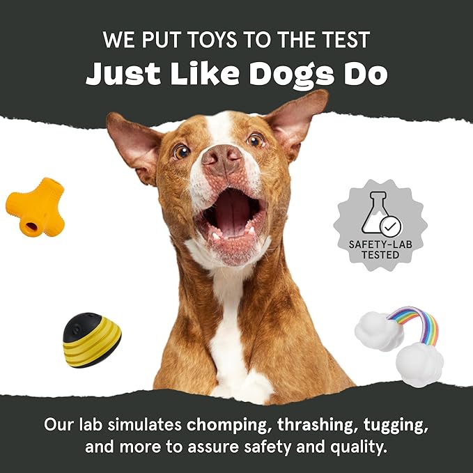 Barkbox Super Chewer Tough Dog Chew Toys for Aggressive Chewers, Dental Stimulating (Bacon Bone - Small)