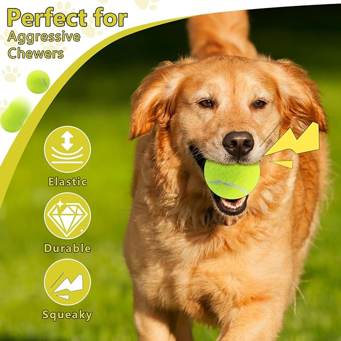 Swingers Squeaky Tennis Balls for Dogs,2.5 inch Training Tennis Balls,Exercise Ball for Pet Dog with Mesh Carry Bag Easy to Transport (Yellow, 6 Pack)