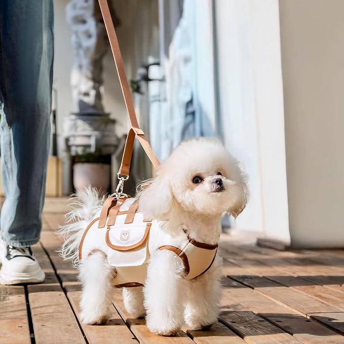 Snuggle Sling Dog Carrier, Adjustable Full Body Lift Harness for Small Dogs and Cats, Portable Breathable Pet Carrier Backpack with Hands-Free Shoulder and Treat Bag(Medium)