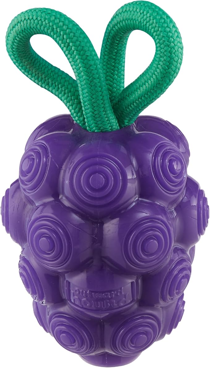 Outward Hound by Planet Dog Dental Grapes Dental Chew Toy and Interactive Treat Stuffer Durable Dog Toy Stuffable Dog Toy, Medium, Purple