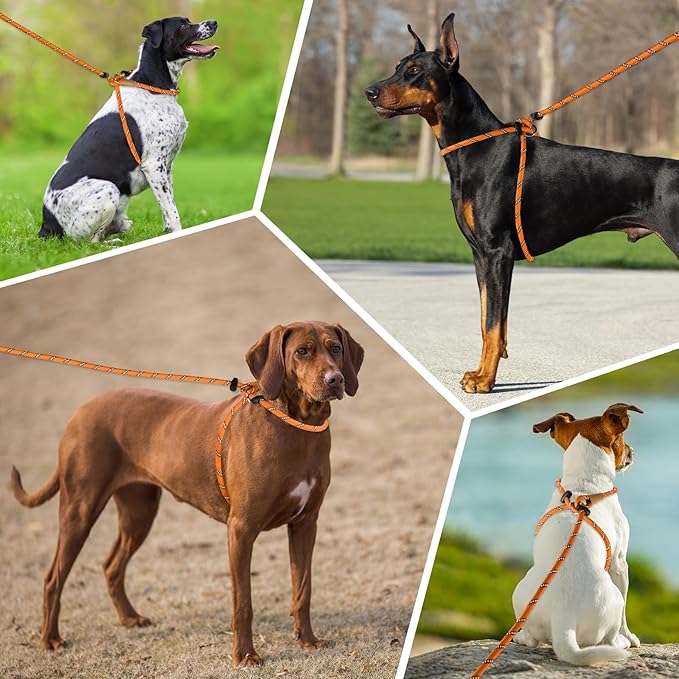 Lynxking No Pull Rope Dog Harness No Pull Reflective Leash Harness Collar 3 in 1 Dog Halter Harnesses Adjustable for Large Giant Dog (Orange, Extra Large(up to 80Ibs) 10ft*1/2")