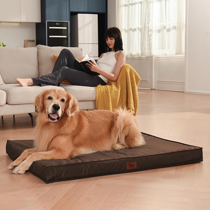 Outdoor Dog Bed Waterproof, Outside Orthopedic Dog Bed for Medium Dogs & Puppies, Egg Crate Foam Pet Mat with Removable Washable Oxford Cover, 30x20 Inch, Brown