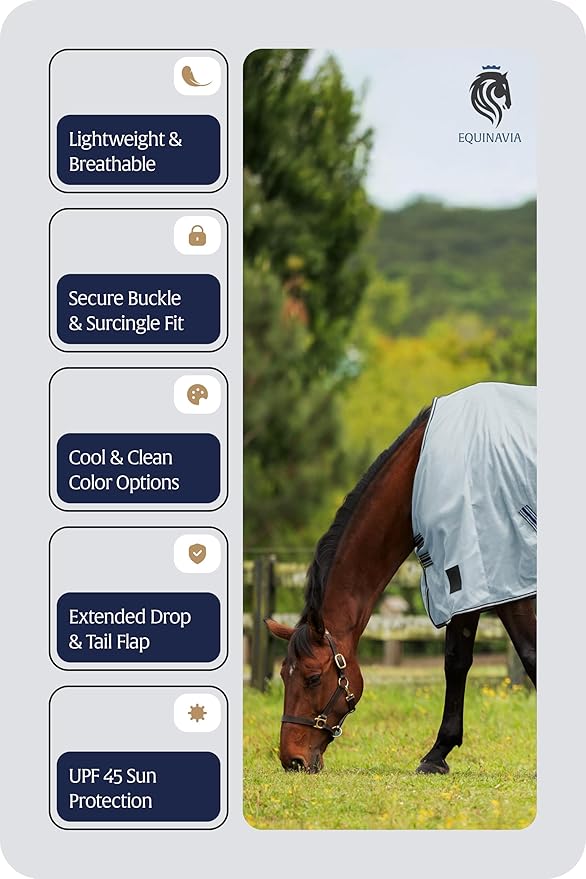 Equinavia Gard Horse Fly Sheet | UV Protection Mesh Fly Sheet for Horses | Lightweight Nylon Turnout Sheet Fly Sheets for Horses - Light Blue - 72 in