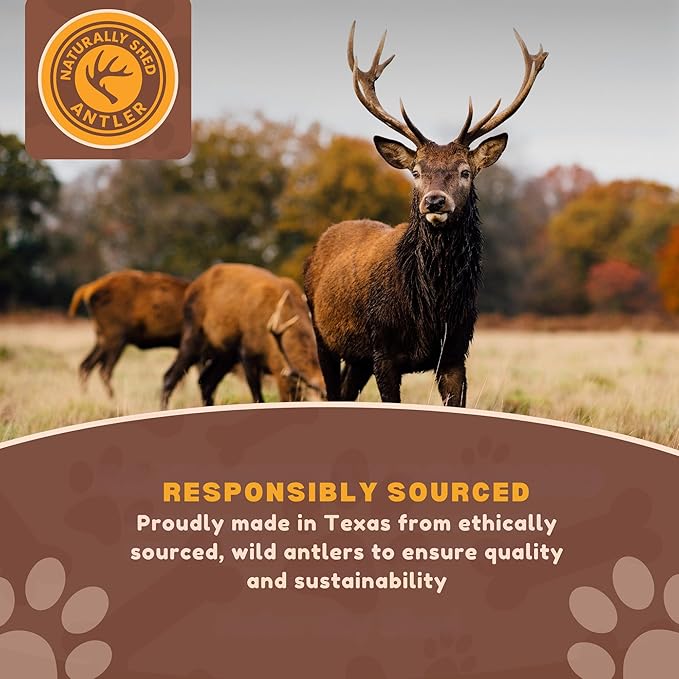 WhiteTail Naturals - Premium Split Elk Antlers for Dogs - (3 Pack Small to Medium) - All Natural, Dog Chew Bones - Naturally Shed, Cruelty-Free, Antler Chews