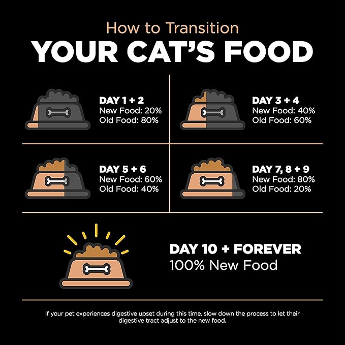Go! Solutions Digestion + Gut Health, Dry Cat Food, Salmon Recipe with Ancient Grains, 3 lb Bag