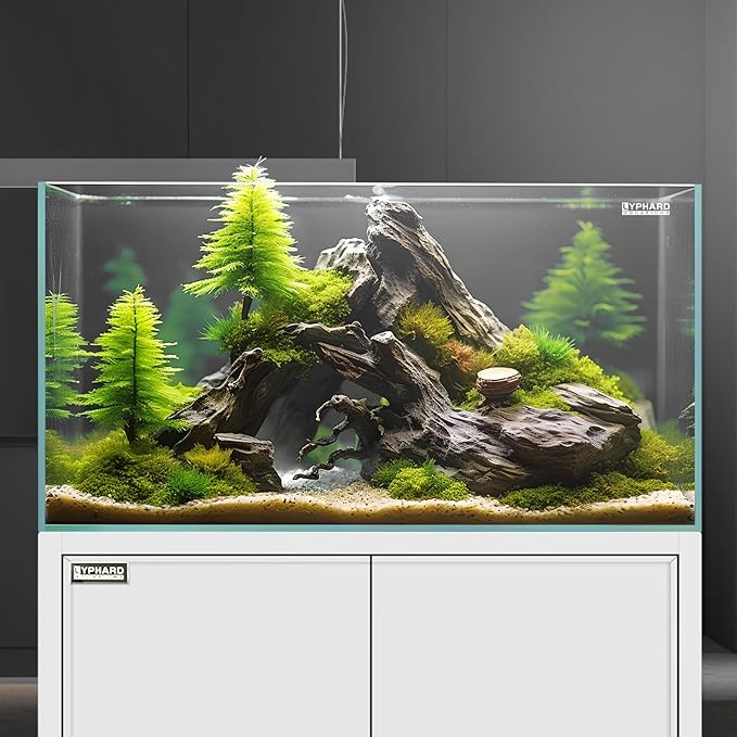 LYPHARD AQUARIUMS Rimless Aquarium 14.5 Gallon Tall Tank, Ultra Clear Low Iron Fish Tank for Betta Goldfish, L13.8×W13.8×H17.7 Glass Thickness 6mm with EVA Foam Leveling Mat