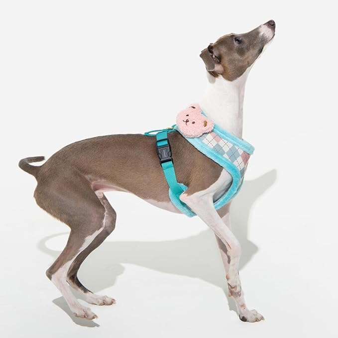Pinkaholic New York Annika Dog Harness Over-The-Head Warm Winter Argyle Pattern Adjustable Chest for Small Dog, Aqua, Medium