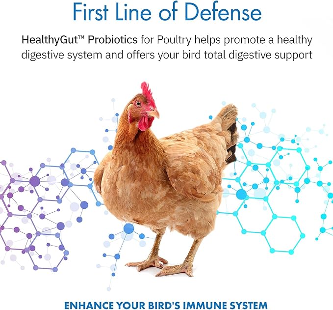 HealthyGut Probiotics for Chickens & Poultry, All-Natural Digestive System Dietary Supplement (90 Scoops)
