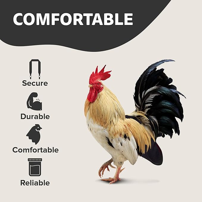 Hen Holster Bird Diaper, Wrap Around - for Hens, Roosters, Ducks, Geese, Leak-Proof Design, Comfortable Fleece Strap Bird Harness with Sewn-in Liner, Secure Hook and Loop Closure - S/M, Black