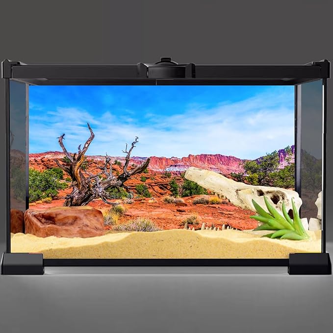 AWERT 48x24 inches Reptile Habitat Background Blue Sky Oasis Orange Desert Terrarium Background Polyester Background
