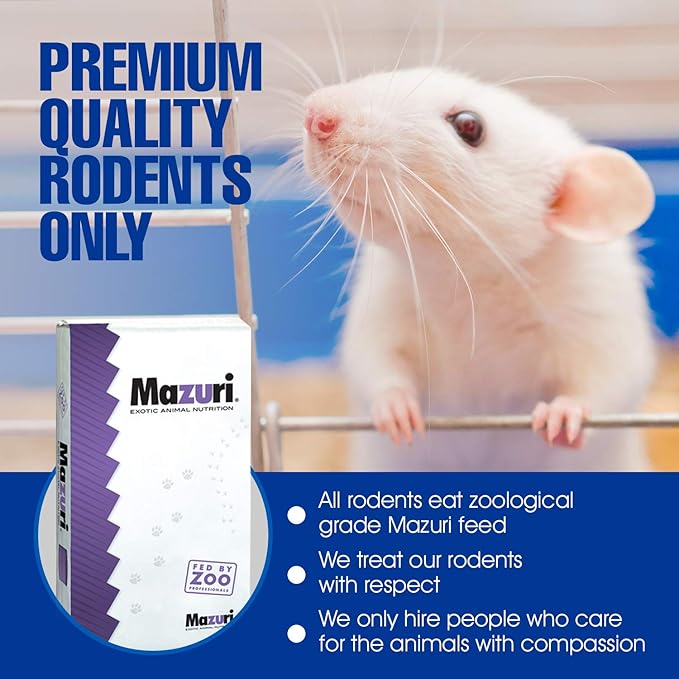 MiceDirect 10 Frozen Mice Combo Pack of 5 Weanlings and 5 Small Adult Feeders Snake Food for Mice for Adult Sand Boa Corn Milk Snakes (2-3 in)(Pack of 10)(160 Grams Min)
