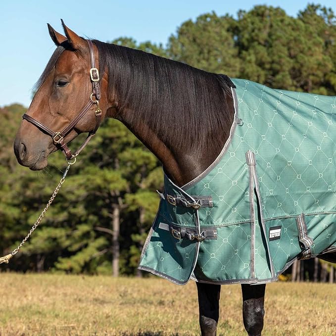 Jeffers Poplar Head 1200 Denier Turnout Sheet for Horses, 0g Polyfill, 66"- Waterproof Lightweight Horse Blanket, Adjustable Chest Belly Straps, Tail Flap, Stable Blanket - Spruce Stirrup Irons