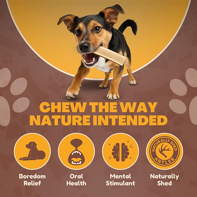 WhiteTail Naturals - Split Elk Antlers for Large Dogs - (3 Pack-Large) - Antler Dog Chews - Long Lasting Dog Chew Bone for Aggressive Chewers